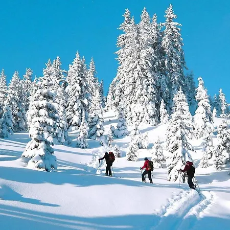 Holiday Erzberg Alpin - Osm02507-eyg شقة *